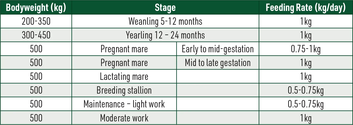 Balancer Horse Feed Guide