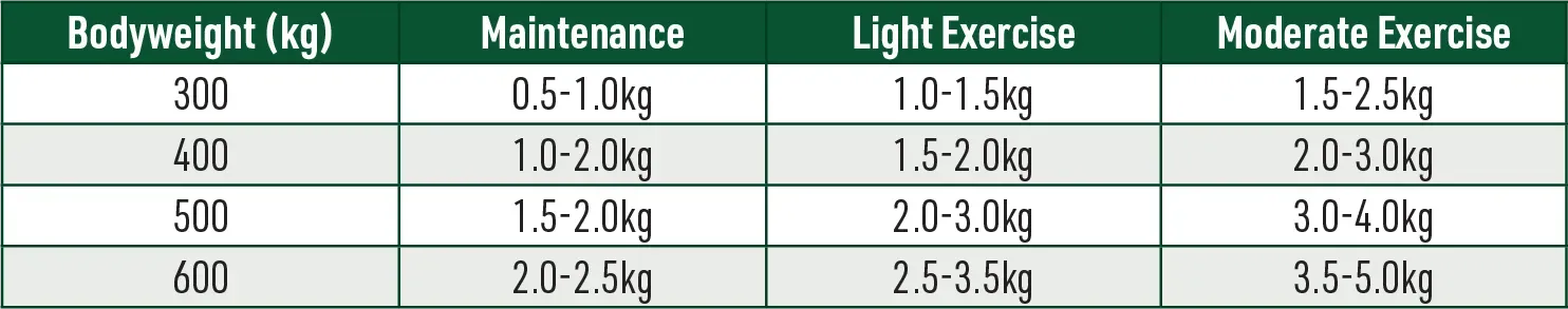 Calm Horse Feed Guide