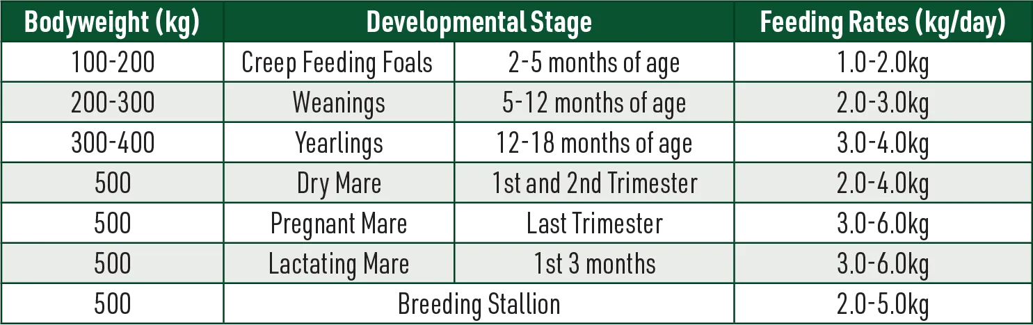 Equine Plus Horse Feed Guide