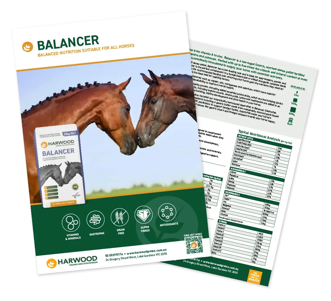 Balancer Horse Feed Flyer