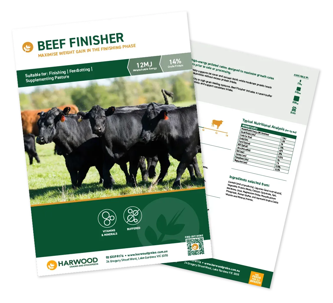 Bye Beef Finisher Cattle Feed in bulk