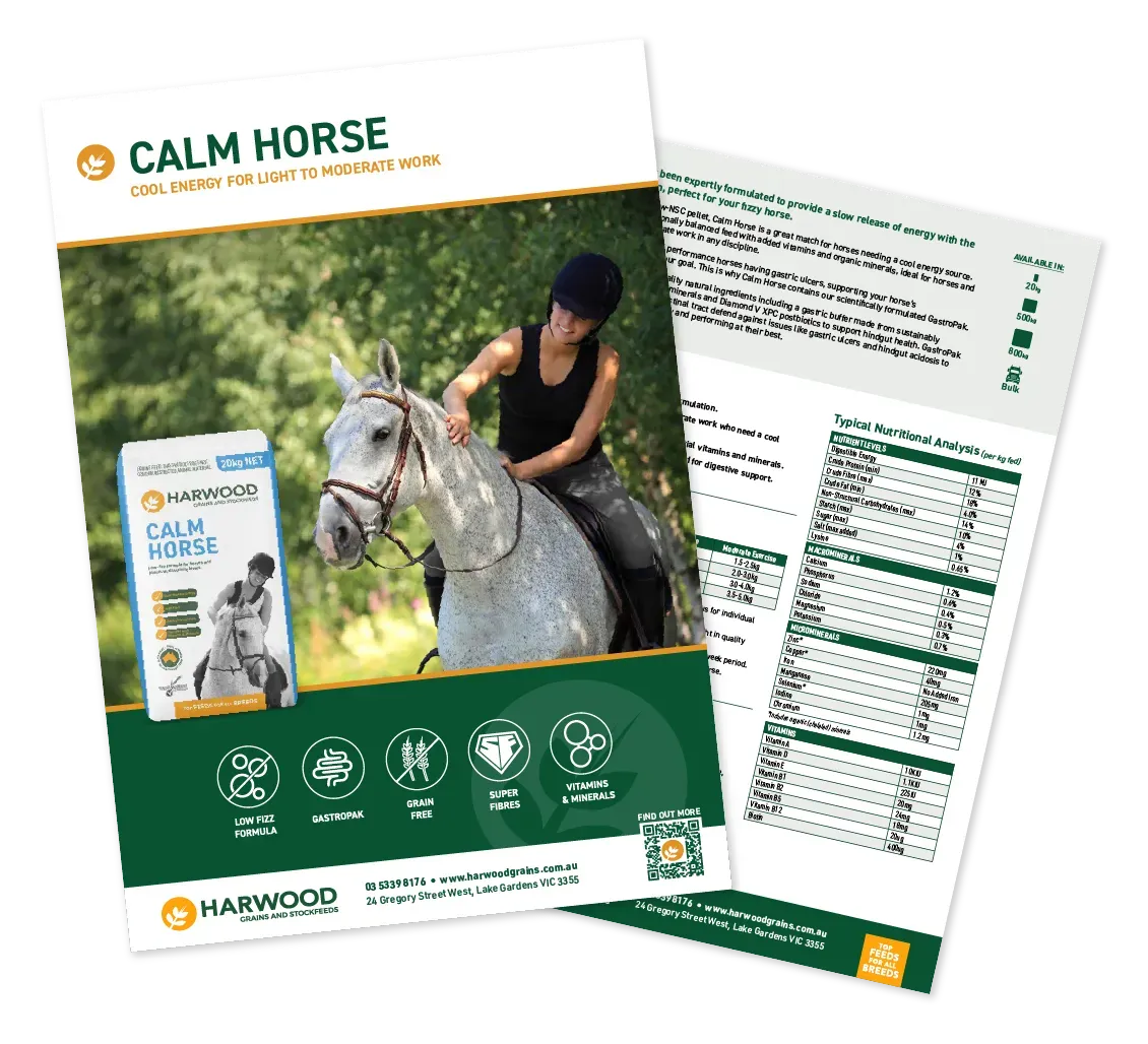 Calm Horse Feed Flyer