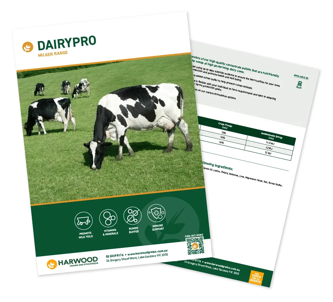 DairyPro Feed Product Flyer