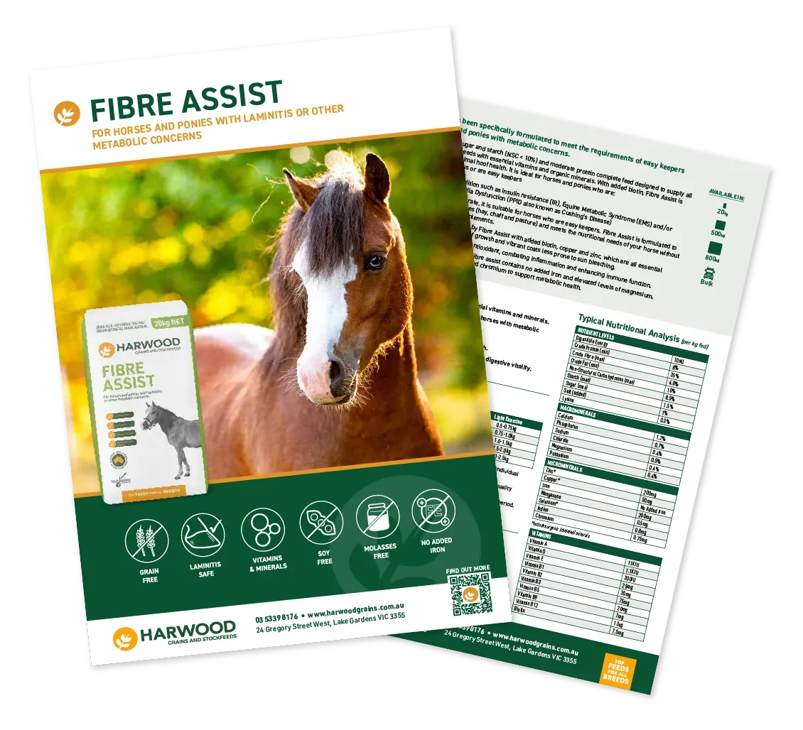 Fibre Assist Horse Feed Flyer