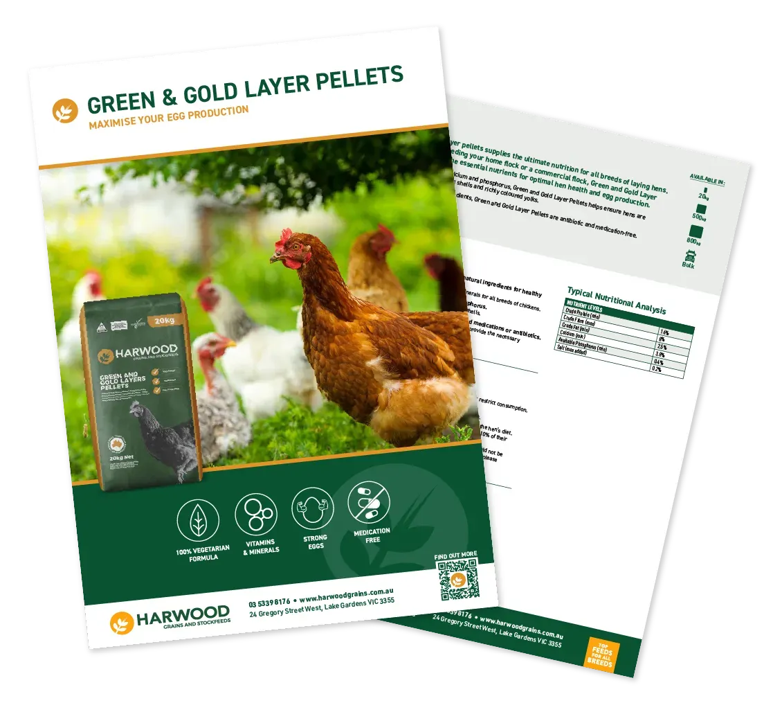 Green and Gold Layer Pellets Flyer