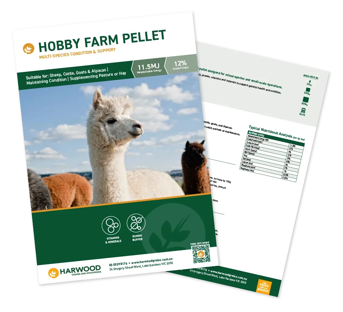 Hobby Farm Animal Feed Flyer