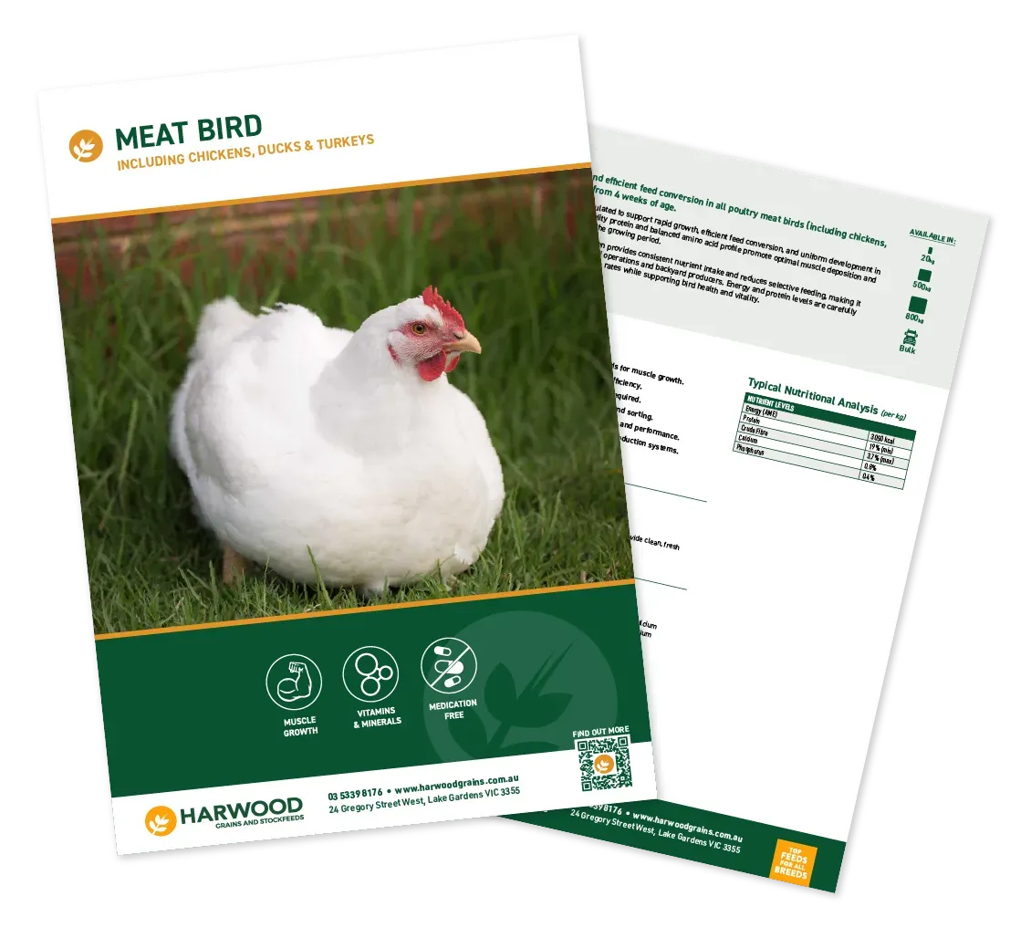 Download Meat Bird Poultry Feed Brochure