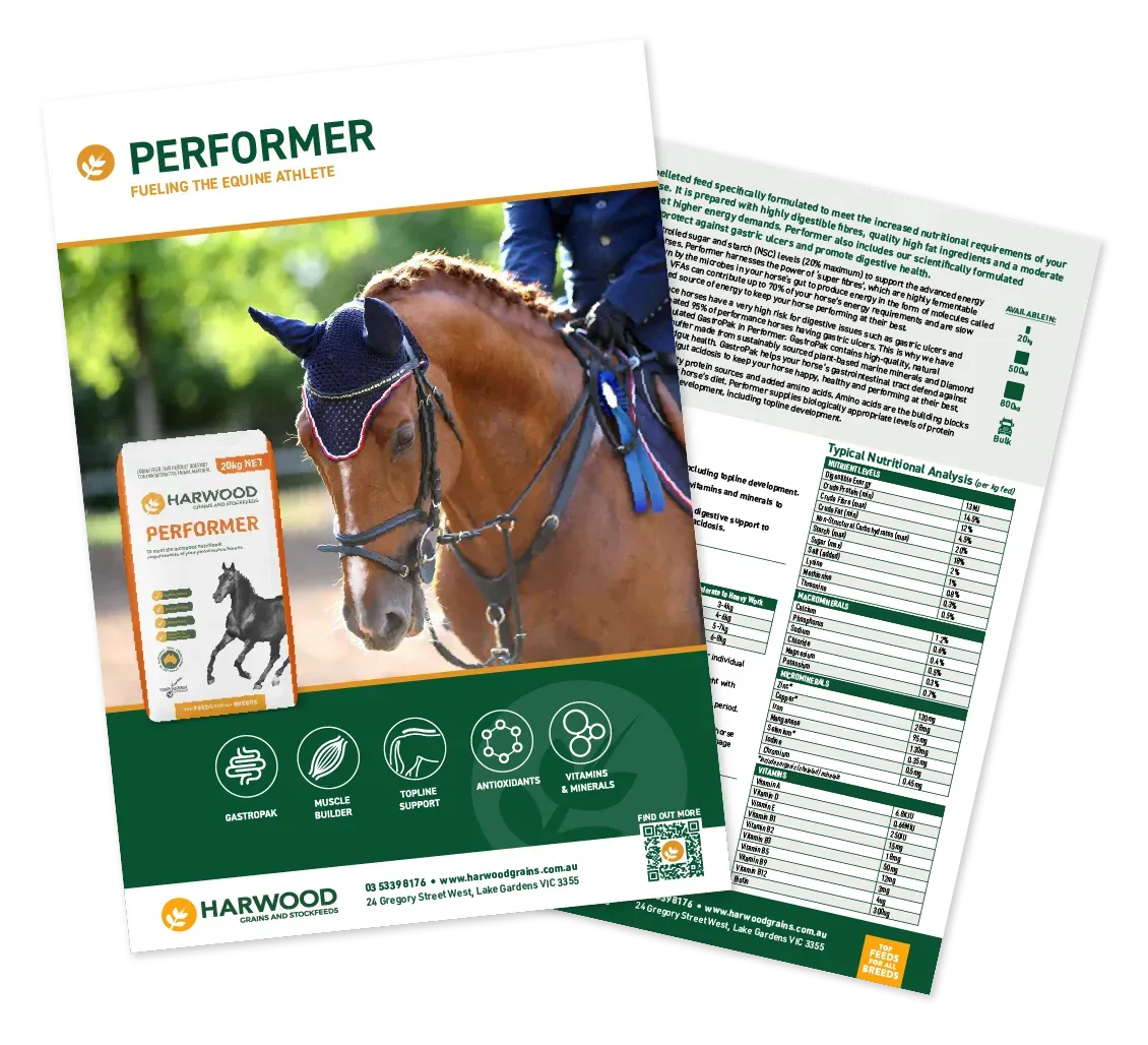 Performer Horse Feed Flyer