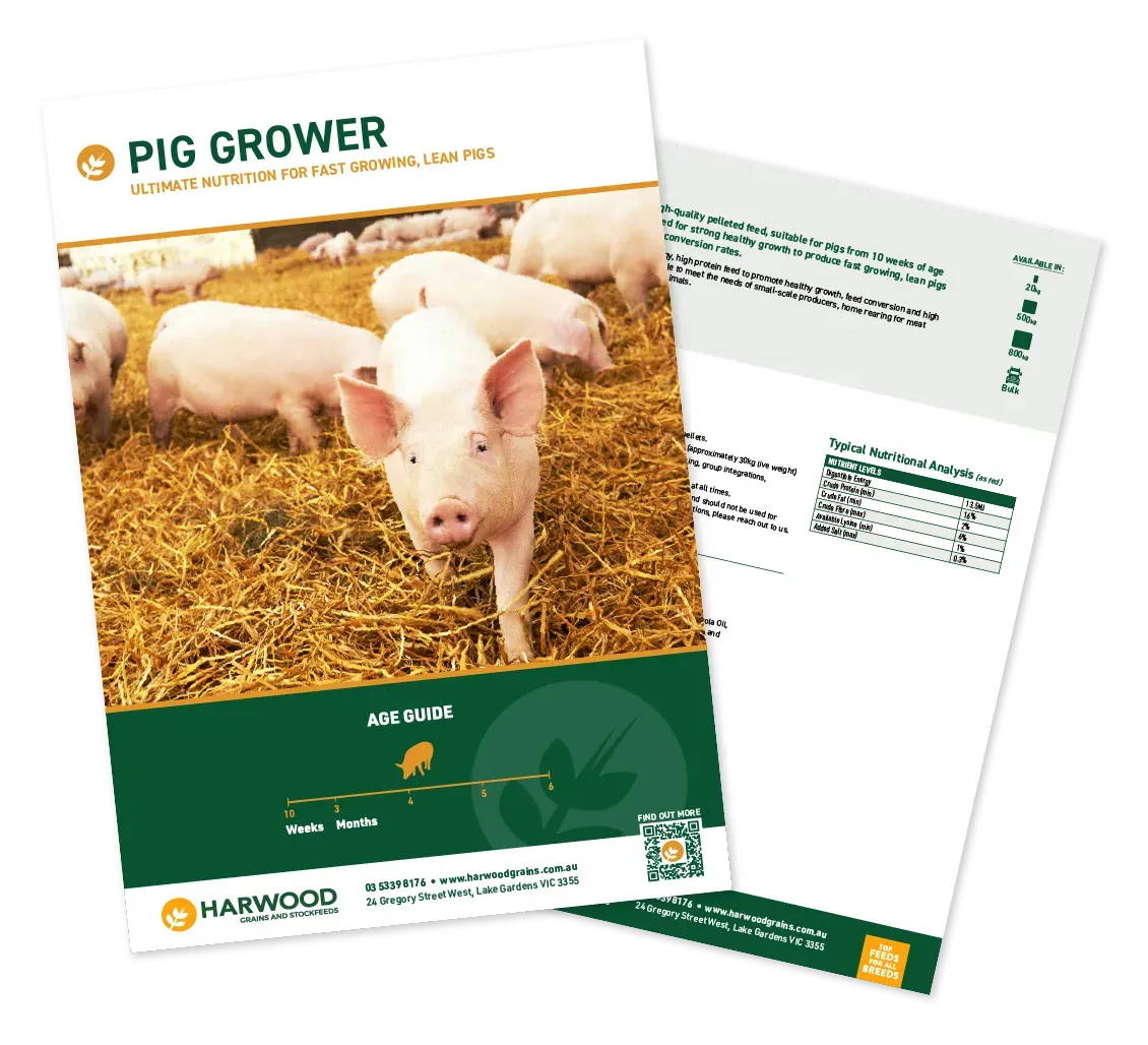 Pig Grower Pig Feed Flyer