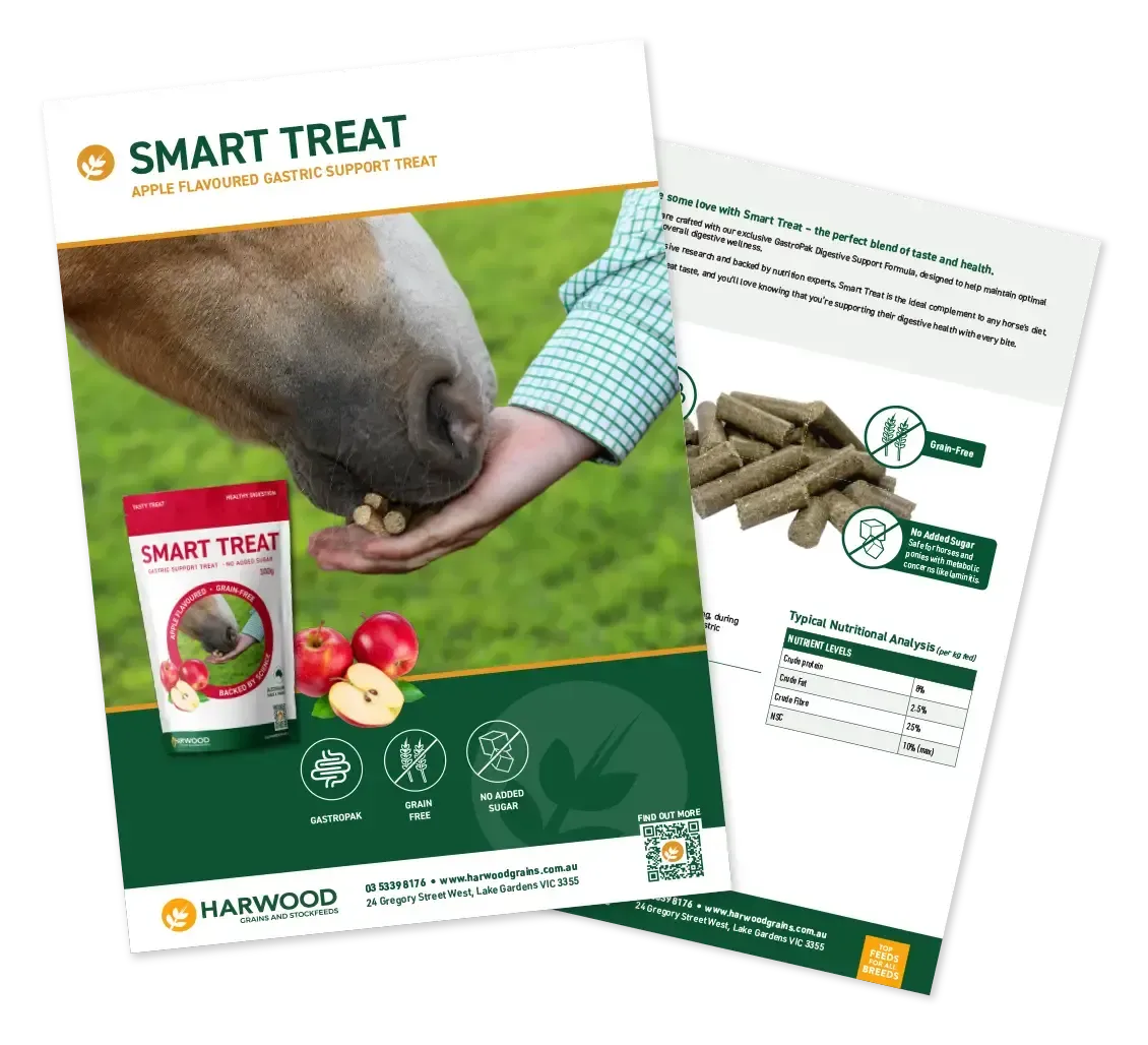 Smart Treat Horse Feed Flyer