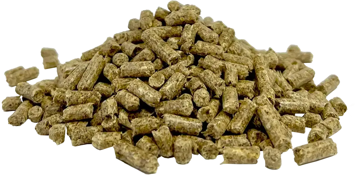 Lamb Feedlot Concentrate from Harwood Grains