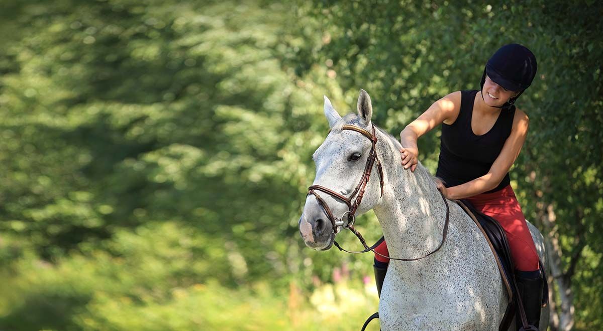 Calm Horse - Feed Product from Harwood Grains
