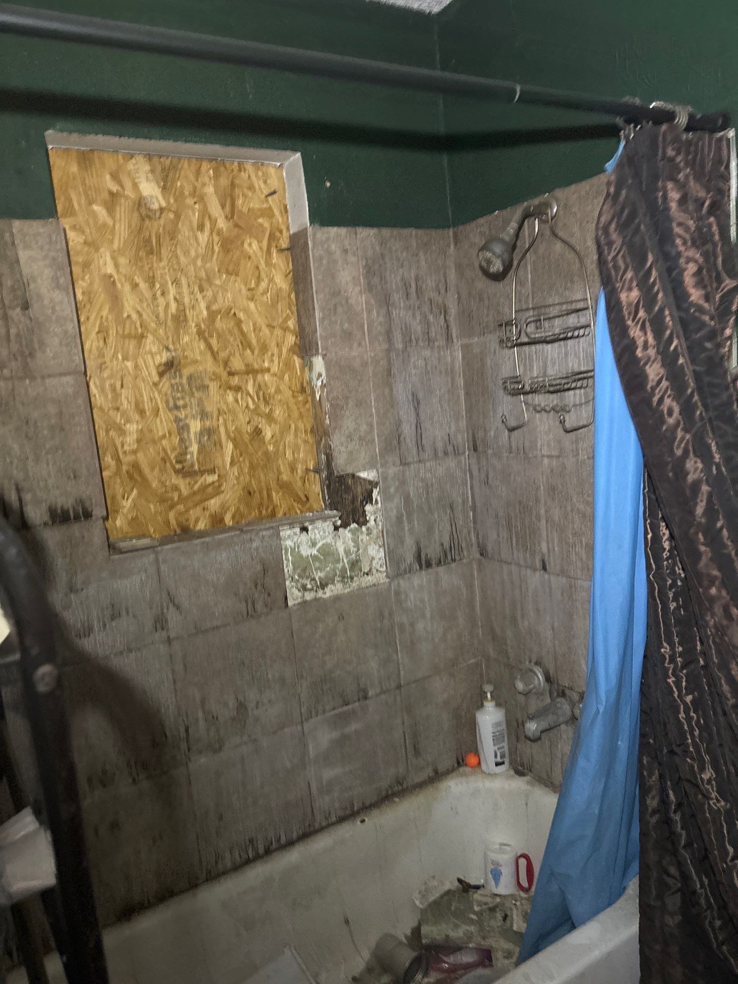 Mold growth on a ceiling and wall corner, yellow and brown discoloration.