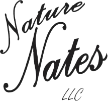 Nature Nates LLC logo in black cursive text on a white background