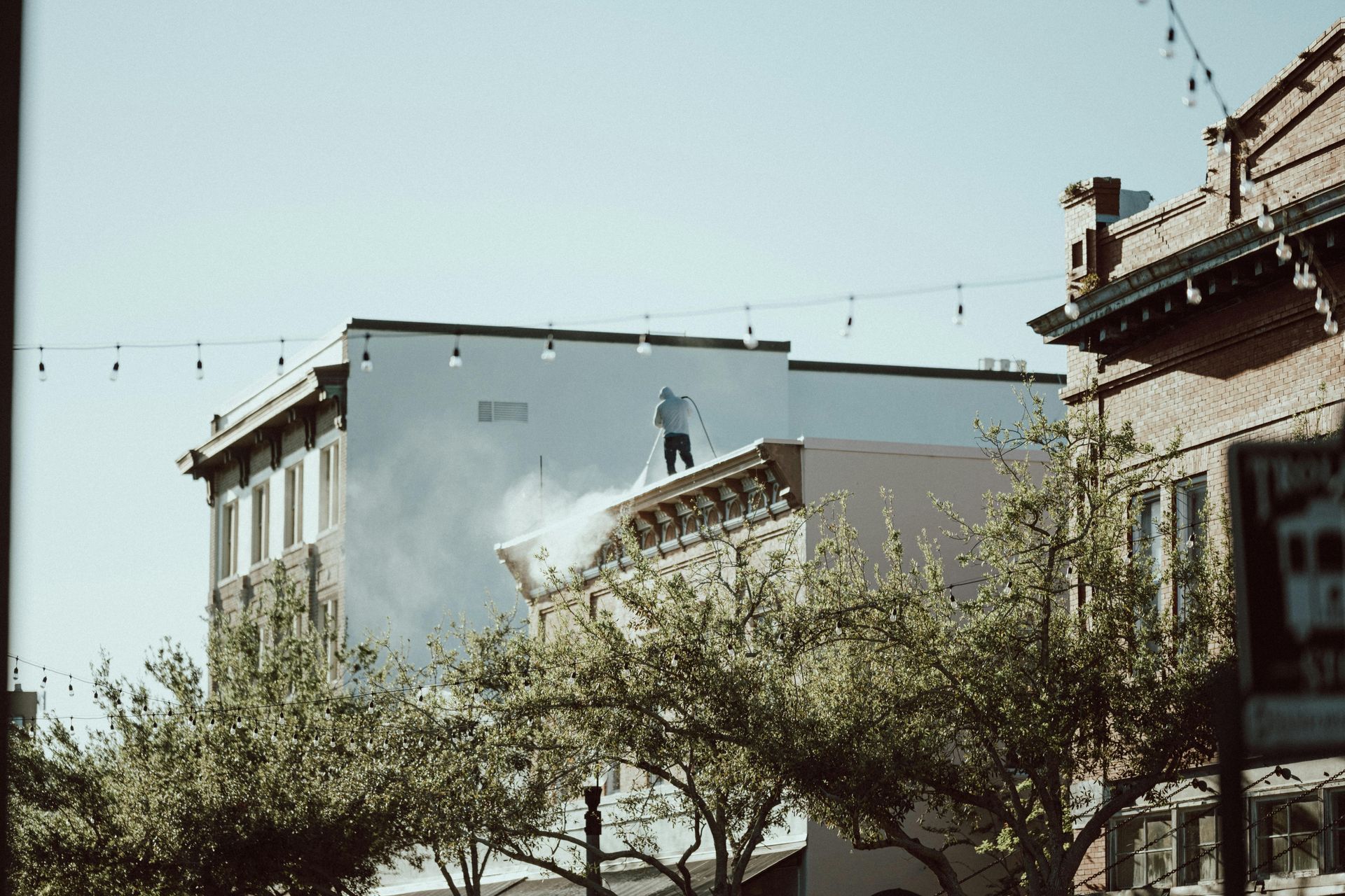 White building behind trees under a clear sky, with rooftops and string lights in the foreground