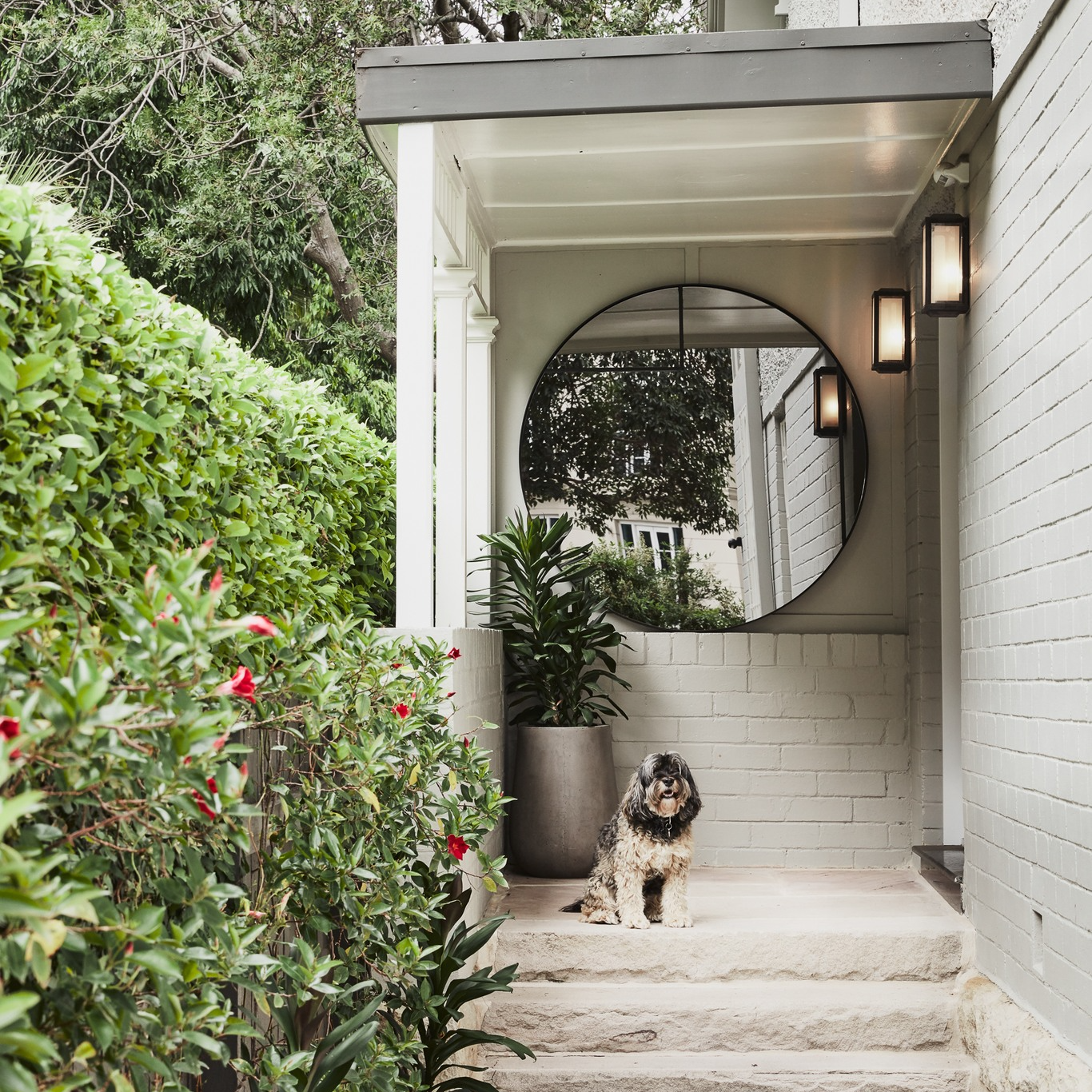 Dog Sits on Steps of a Porch With a Large Round Mirror — Burmah Constructions In Kangaroo Valley, NSW