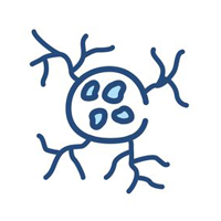 a line drawing of a cell with a circle in the middle and branches coming out of it .