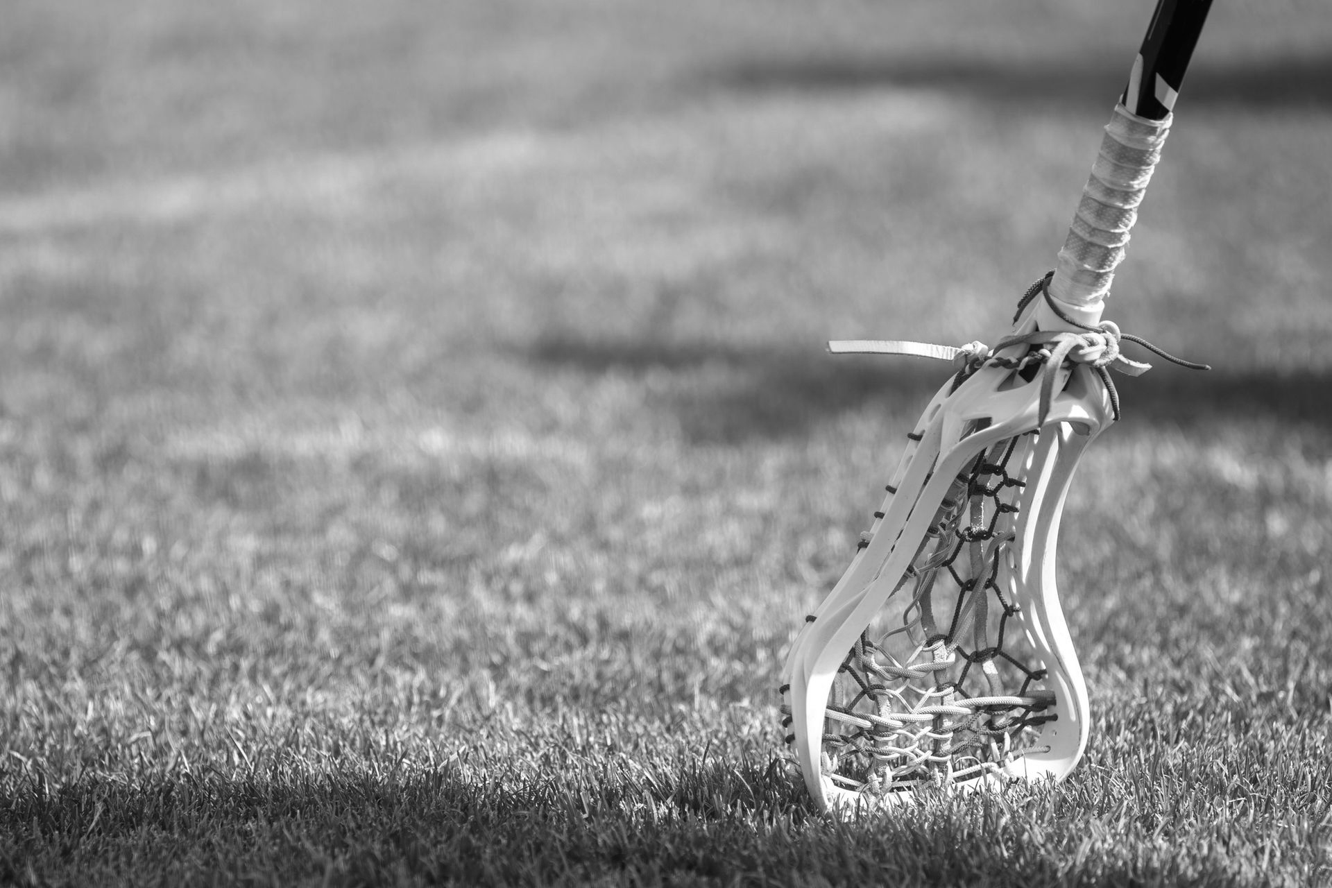 Lacrosse stick with a ball resting on grass, shown in black and white.
