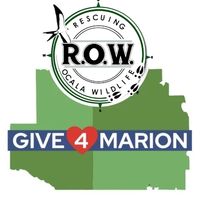 Give4Marion, Give 4 Marion, Rescuing Ocala Wildlife, ROW Give4Marion Give4Marion, Give 4 Marion, Rescuing Ocala Wildlife, ROW Give4Marion