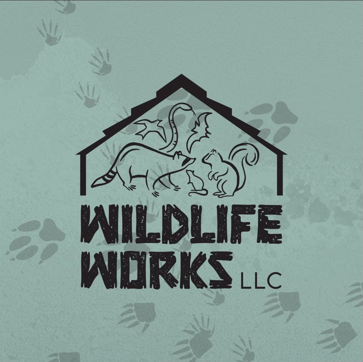 Rescuing Ocala Wildlife in Ocala Florida
