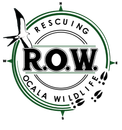 Rescuing Ocala Wildlife - Wildlife Rescue in Ocala and Central Florida Give4Marion, Give 4 Marion, Rescuing Ocala Wildlife, ROW Give4Marion