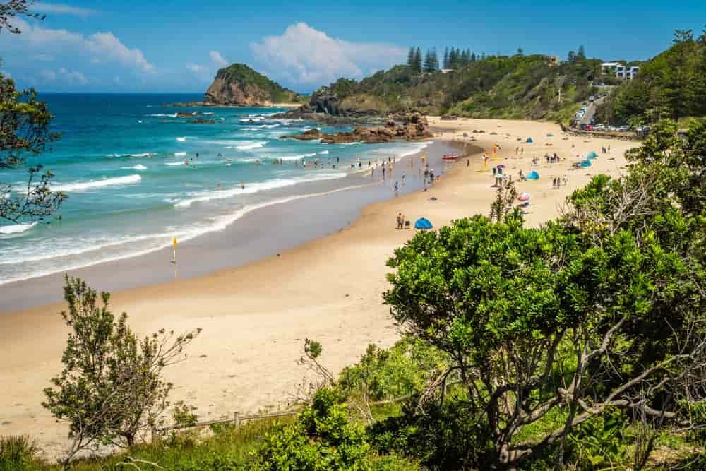A Beach with A Lot of People on It and Trees in The Foreground — Thompson's Farm Gear In Port Macquarie, NSW