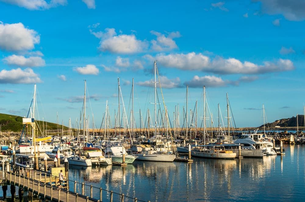 A Marina Filled with Lots of Boats on A Sunny Day — Thompson's Farm Gear In Coffs Harbour, NSW