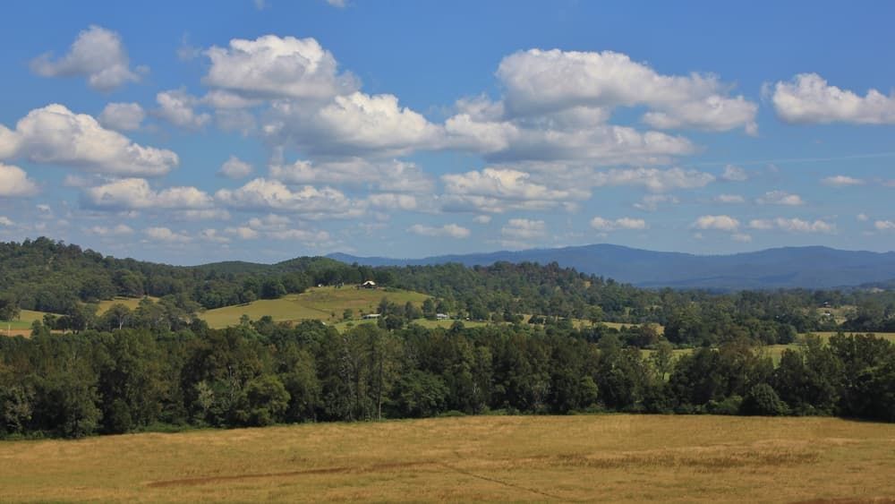 Mountains in The Background and A Field in The Foreground — Thompson's Farm Gear In Wauchope, NSW
