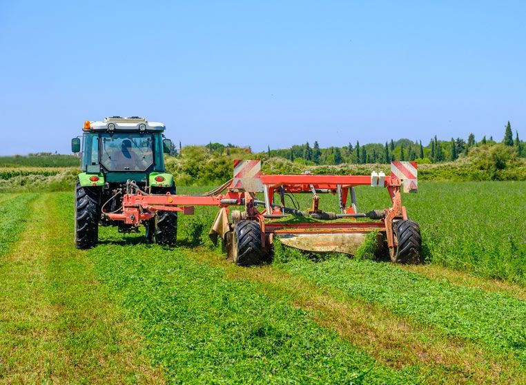 Farmer Operating Red Tractor, Mowing Grass in Farm Field — Thompson's Farm Gear In Port Macquarie, NSW