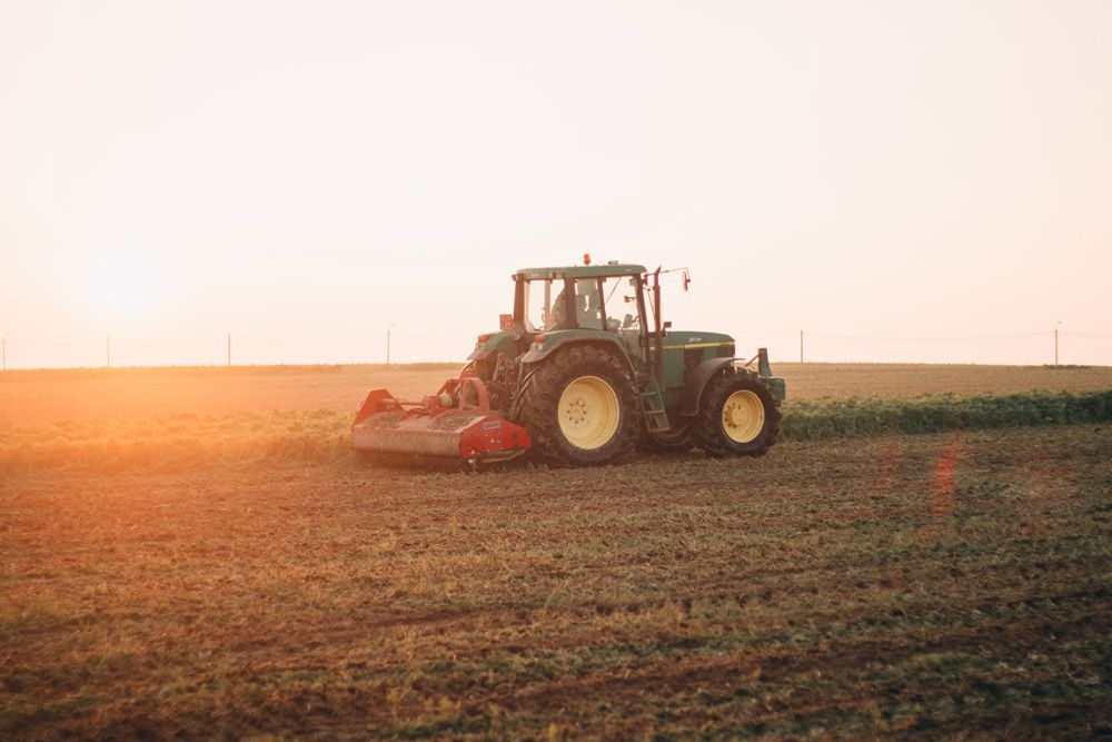Large Grown Hay Field with Slasher Equipment — Thompson's Farm Gear In Coffs Harbour, NSW