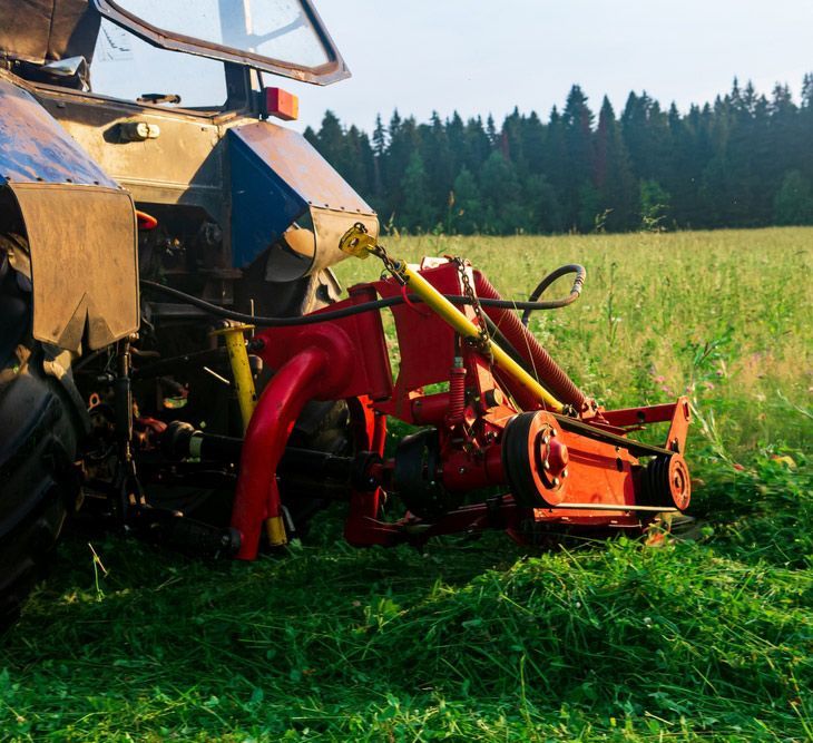 Robust Tractor Equipped with Mower Attachment — Thompson's Farm Gear In Wauchope, NSW