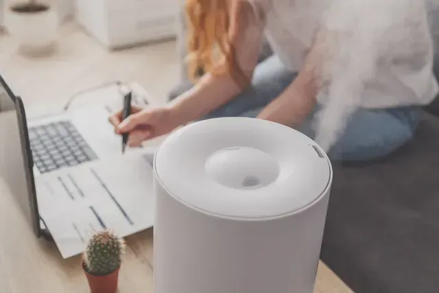 Humidifiers and Dehumidifiers by Professional Services Heating, AC, and Electric Repair in Port Washington, WI