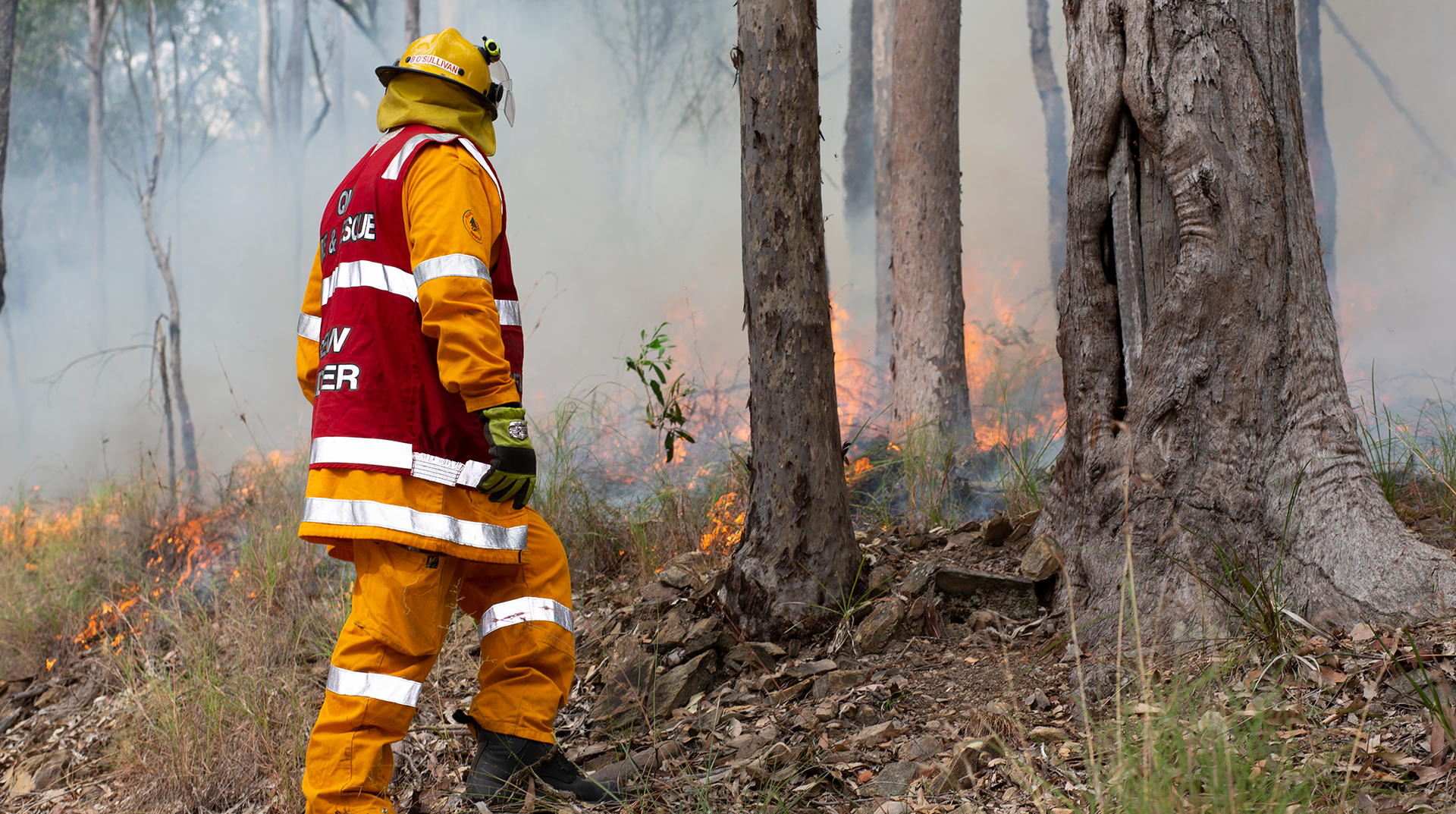 A firefighter is standing in the middle of a forest looking at a fire.