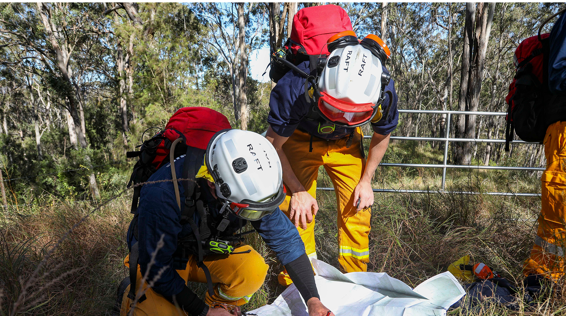 Two firefighters are looking at a map in the woods.