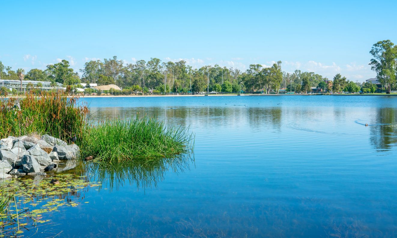 Calm blue lake with reeds, rocks, and trees under a clear sky