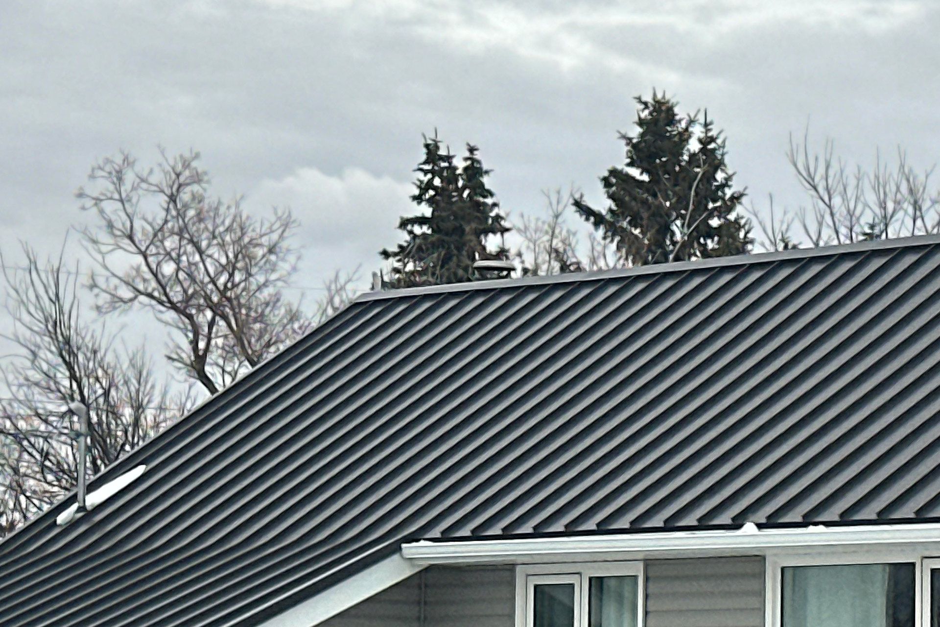 Dark metal roof on a house beneath cloudy sky, with bare trees and evergreens behind it