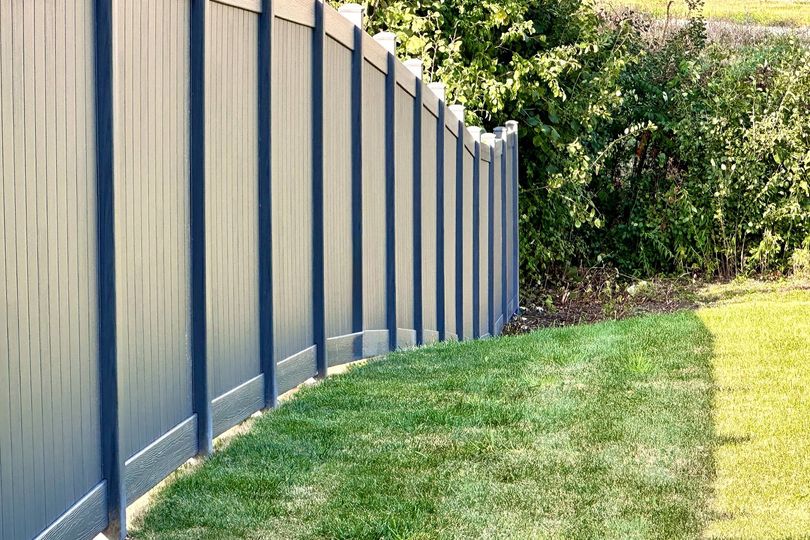 Blue fence lining a grassy yard beside dense green shrubs