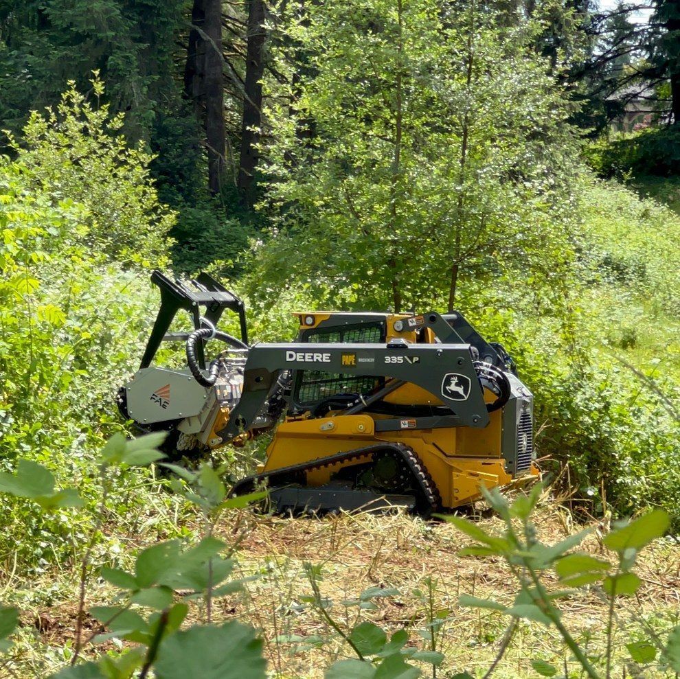 Yellow John Deere skid steer clearing brush in a forested area