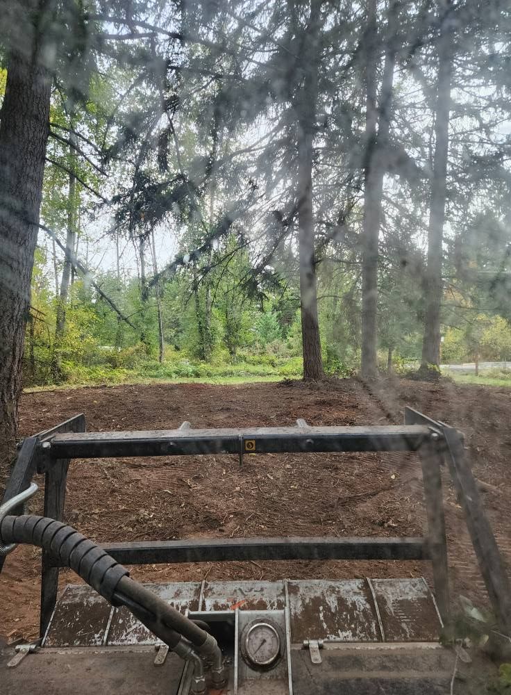 View from an off-road vehicle over a forest clearing with tall trees and dirt terrain.