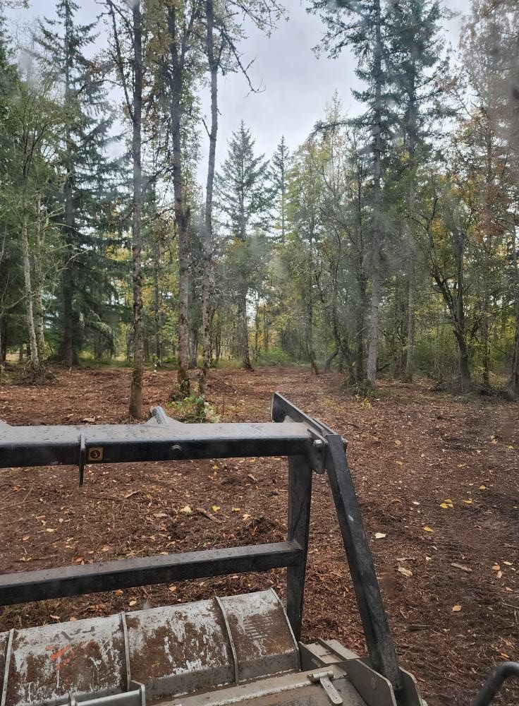 Rusty metal truck bed in a muddy forest clearing with tall trees and overcast sky.