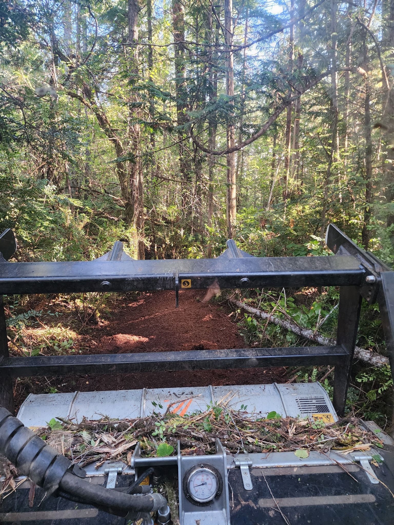 View from a utility vehicle over a black metal rack into a wooded trail in autumn