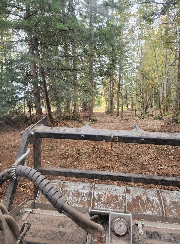 Rusty excavator bucket in a wooded forest clearing with trees and dry ground.