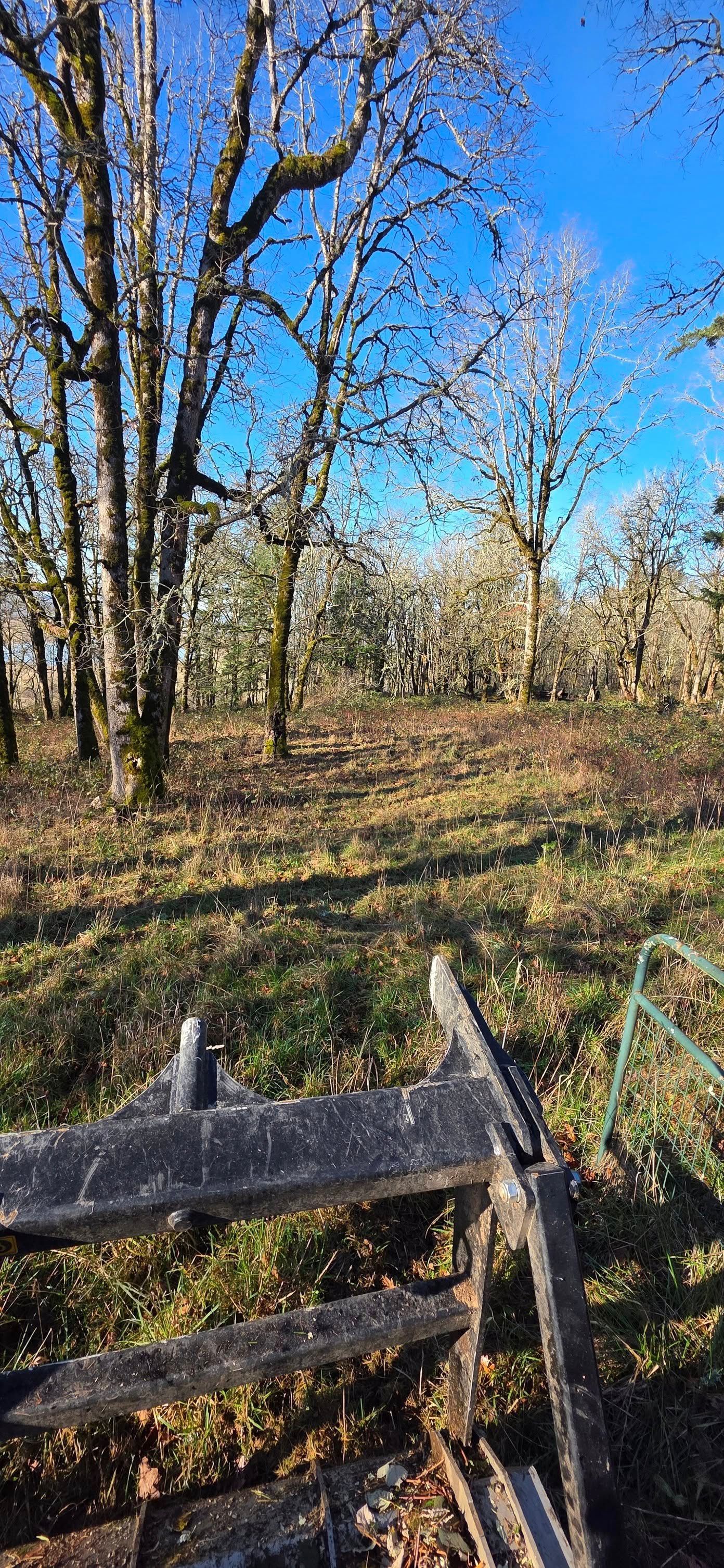 Wooded trail view with bare trees, blue sky, and a rustic wooden fence in the foreground
