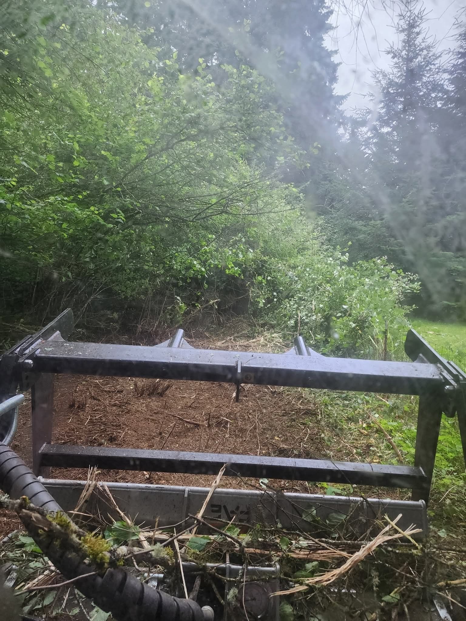 Rain-soaked wooden deck overlooking dense green forest in misty weather