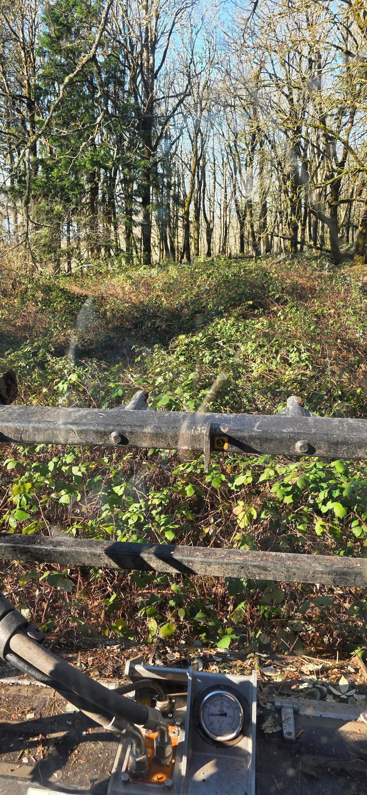 Bicycle handlebars overlooking a wooded hillside with autumn trees and a wooden fence