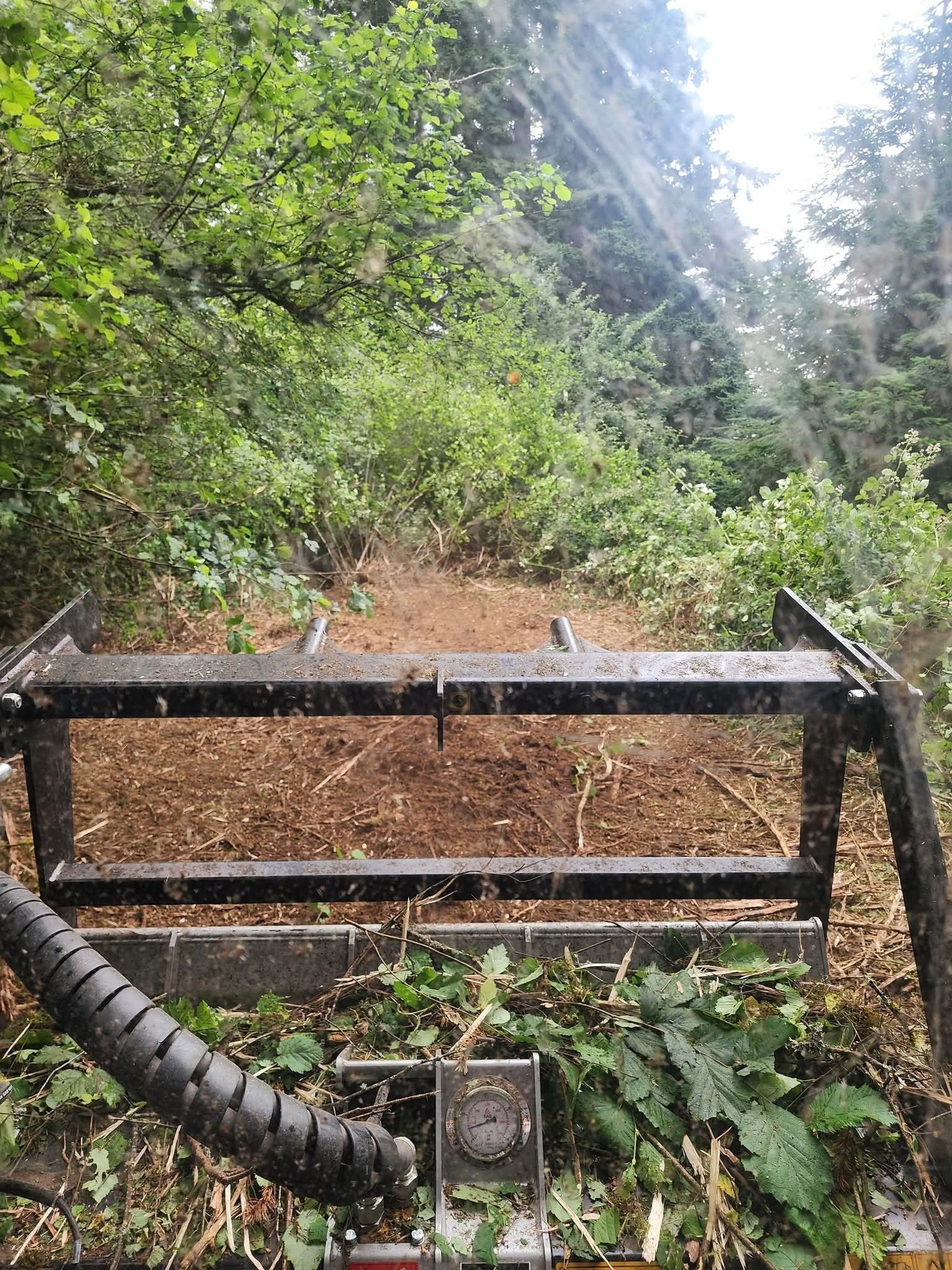 Dirt path through forest, viewed over a black bike handlebar with a bell in the foreground