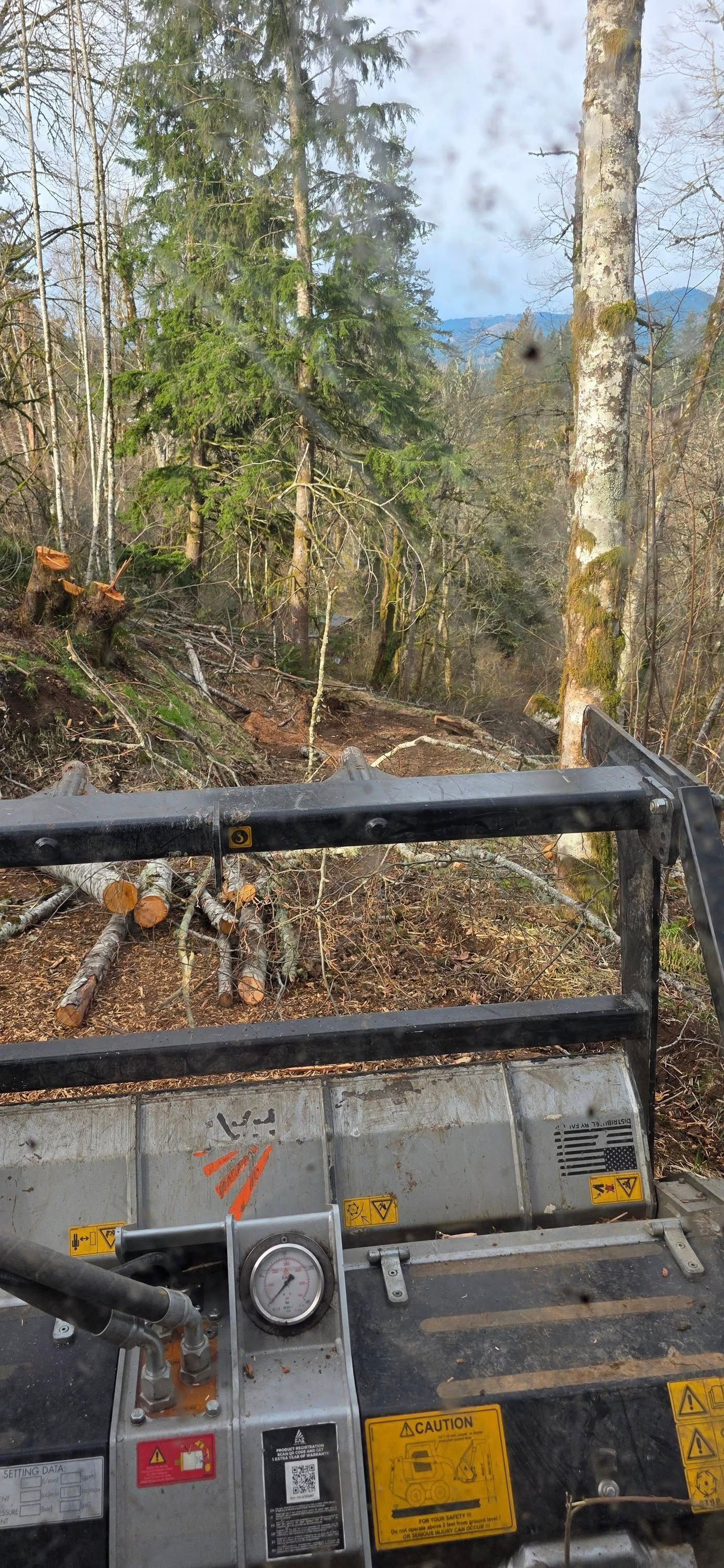 View from a utility vehicle overlooking a muddy forest trail with trees and a dirt path ahead