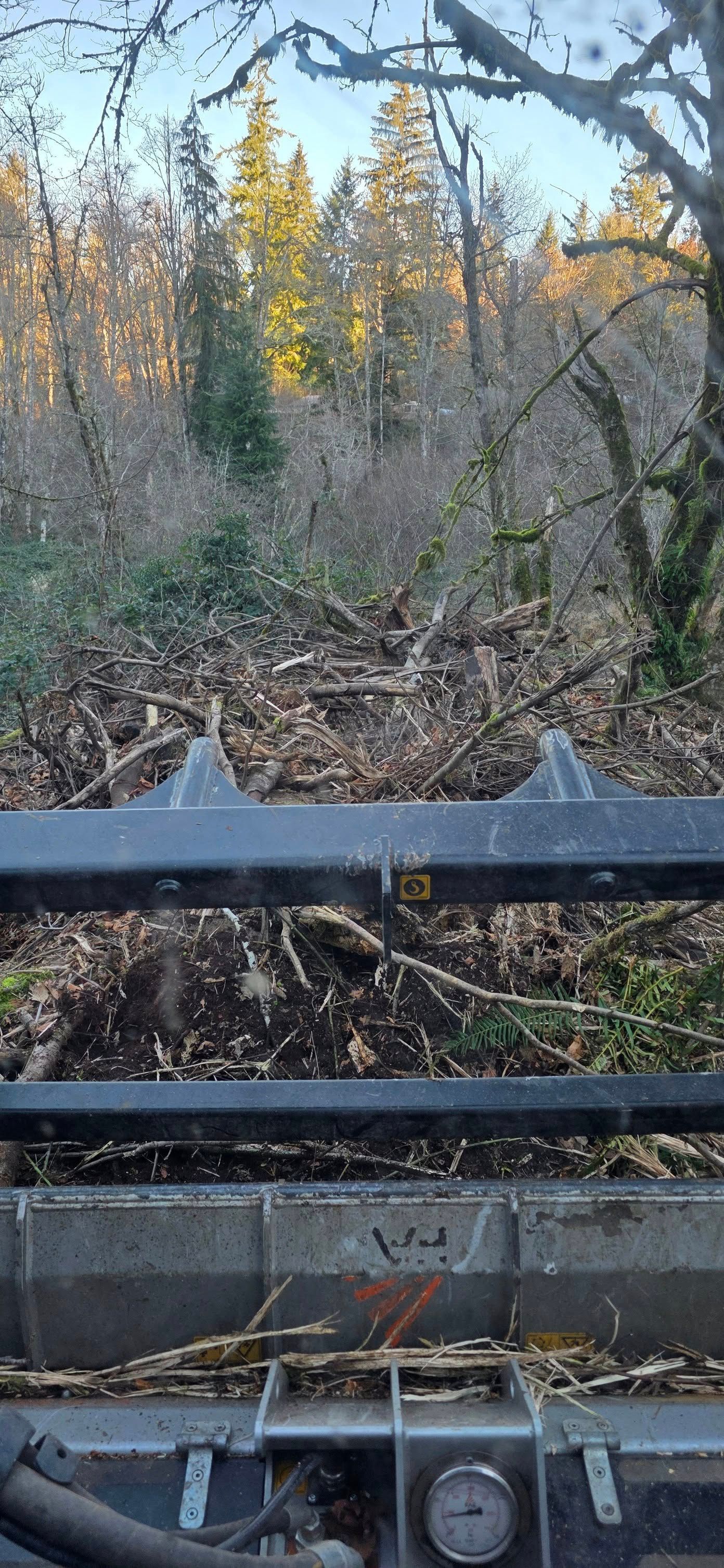 View from a snowplow of a wooded roadside with bare trees and autumn foliage behind a metal blade.