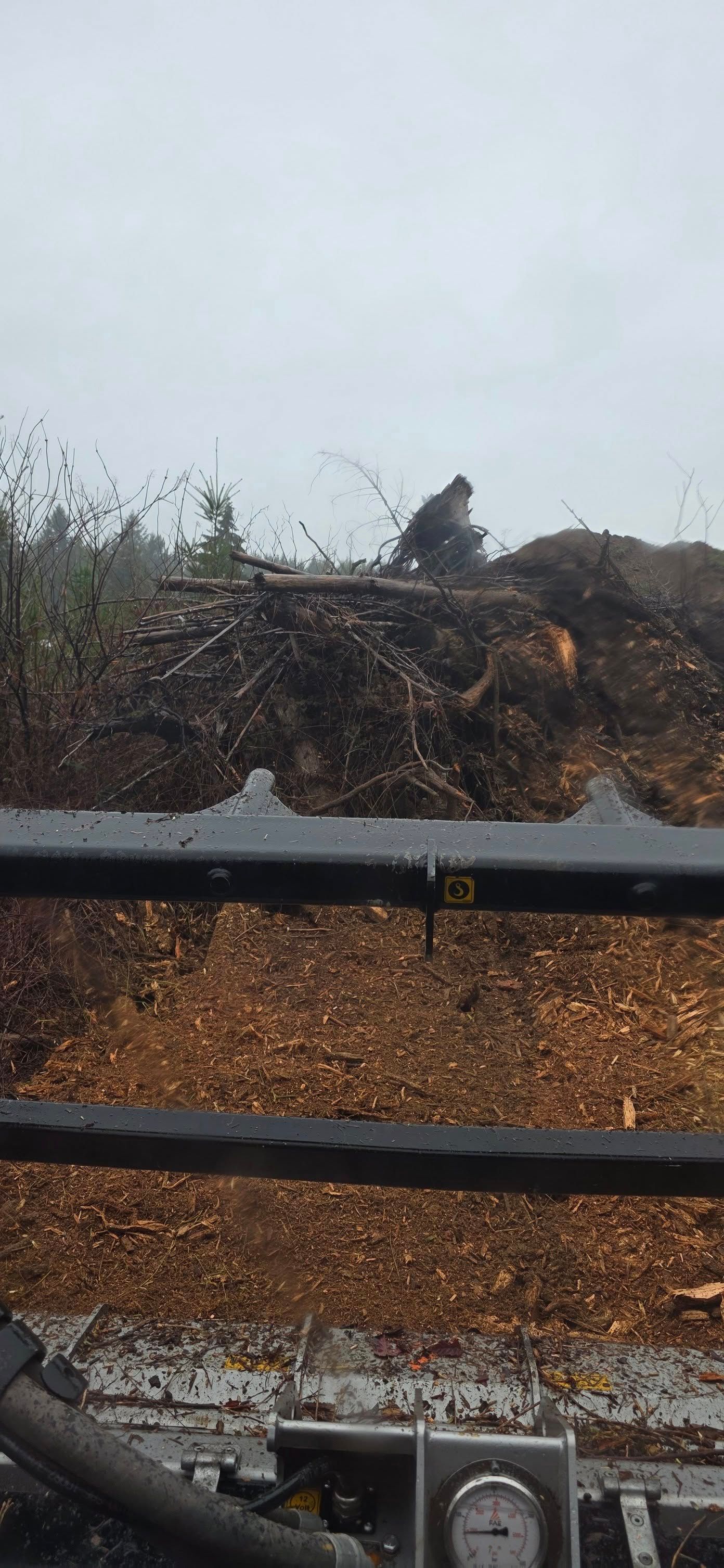 Rainy roadside with a large dark bird perched on a brushy embankment behind a metal guardrail.