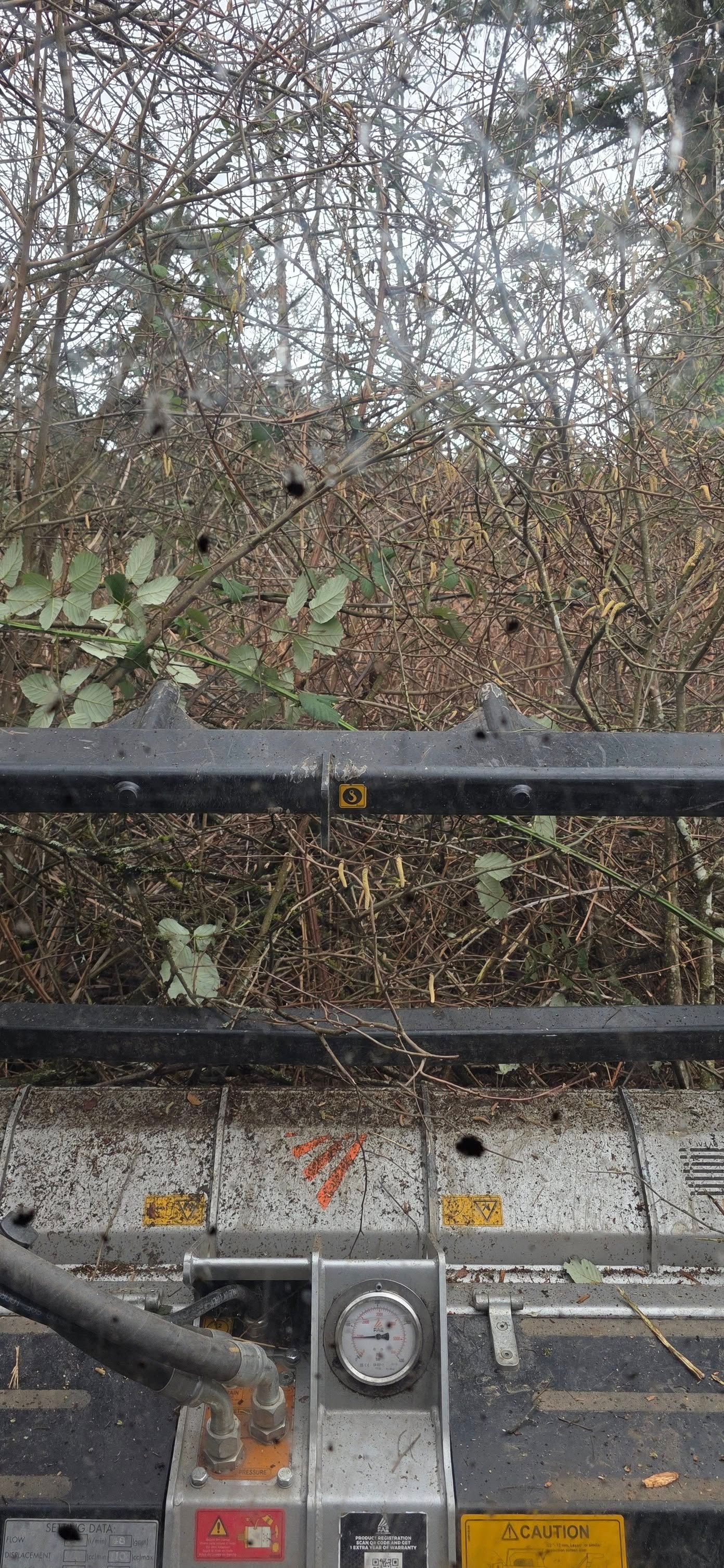 Overgrown bushes and trees behind a black metal railing above a weathered concrete ledge